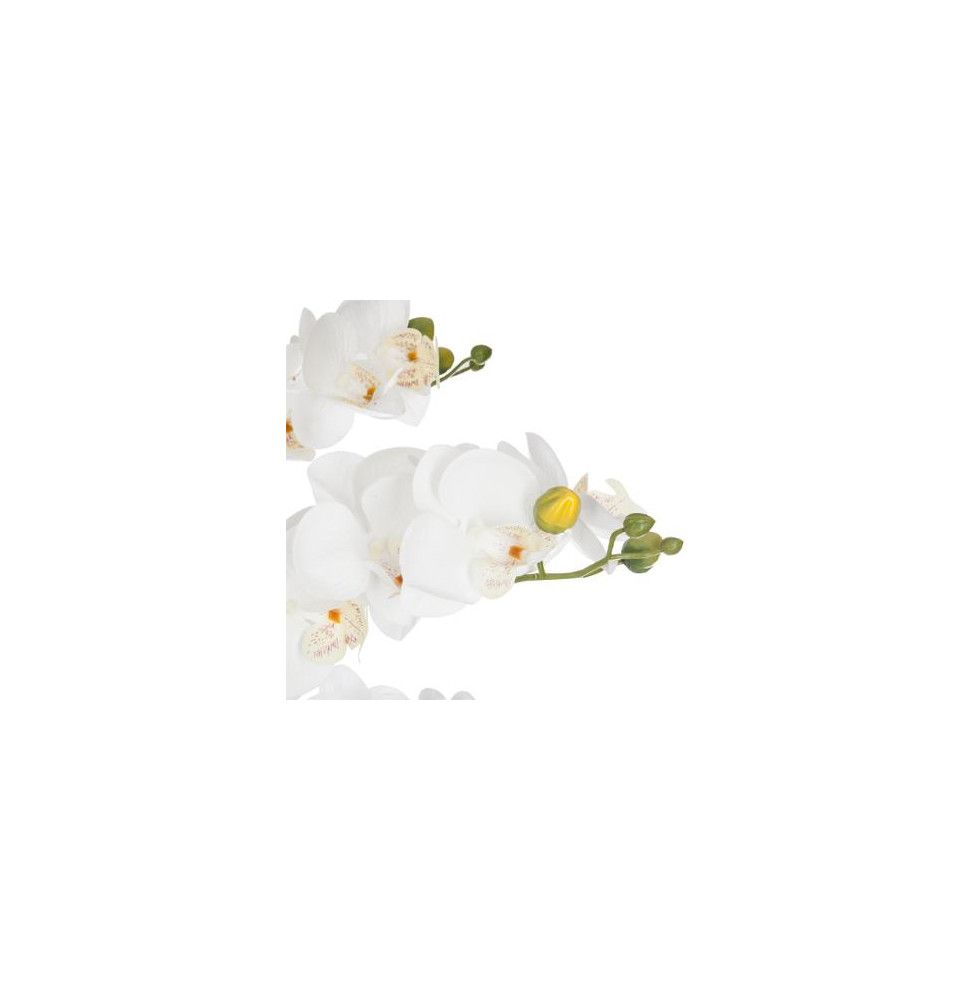 Orchid E Artificielle Pot En Ciment D Cm X H Cm Blanc