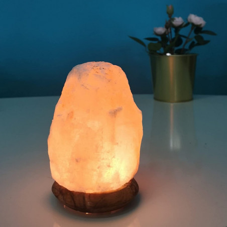 Lampe USB en cristal de sel d'Himalaya forme de roche - Orange - D 7 x H 12 cm