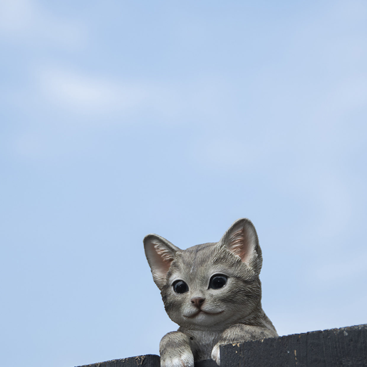 Statuette de chat à accrocher sur barrière en polyrésine - Noir - L 11 x l  9 x H 22 cm