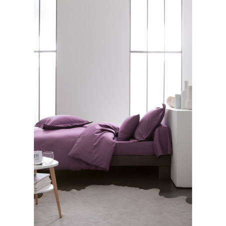 Drap plat lit simple "Today" - Violet - 180 x 290 cm