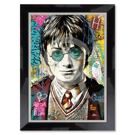 Cadre en bois avec impression en PVC vernis "Harry Potter" - Noir/Argent - 50 x 70 cm - Collection Romaric