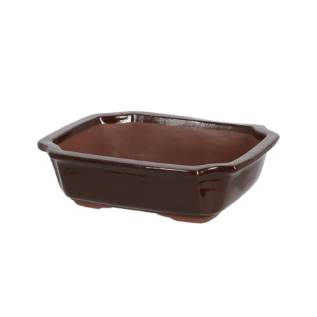 Pot pour bonsai rectangulaire M en terre cuite - Marron - L 26,2 x P 20 x H 7,5 cm