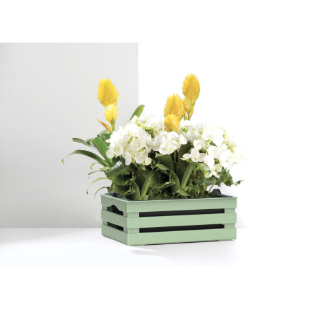 Caisse à fleurs avec pot + soucoupe "Tina" en plastique - Vert - L 25 x P 15,5 cm