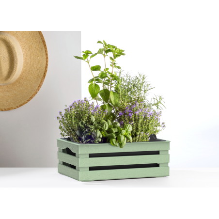 Caisse à fleurs avec pot + soucoupe "Tina" en plastique - Vert - L 31 x P 25 cm