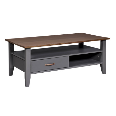 Table basse "Luzerna"- Gris - L 115 x l 45 x H 60 cm